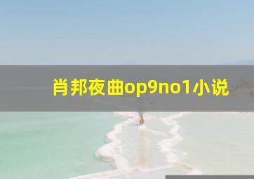 肖邦夜曲op9no1小说