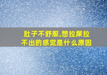 肚子不舒服,想拉屎拉不出的感觉是什么原因