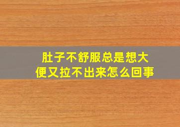 肚子不舒服总是想大便又拉不出来怎么回事