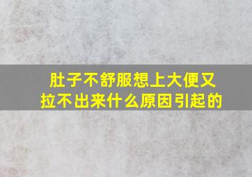 肚子不舒服想上大便又拉不出来什么原因引起的