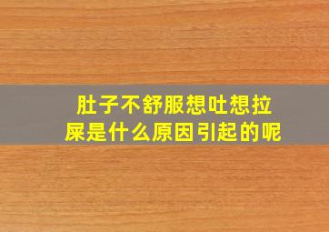 肚子不舒服想吐想拉屎是什么原因引起的呢