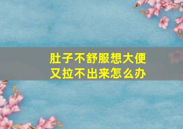 肚子不舒服想大便又拉不出来怎么办