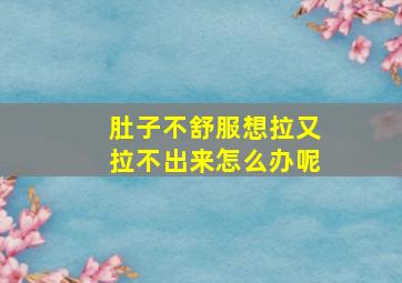 肚子不舒服想拉又拉不出来怎么办呢