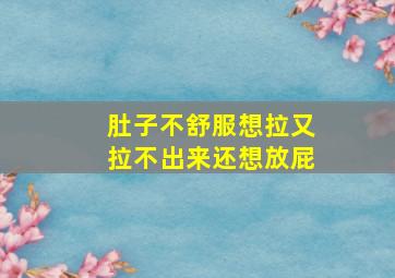 肚子不舒服想拉又拉不出来还想放屁