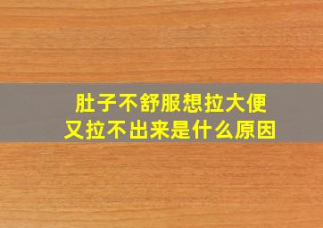 肚子不舒服想拉大便又拉不出来是什么原因