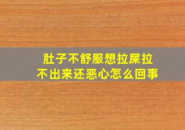 肚子不舒服想拉屎拉不出来还恶心怎么回事