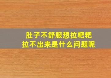 肚子不舒服想拉粑粑拉不出来是什么问题呢