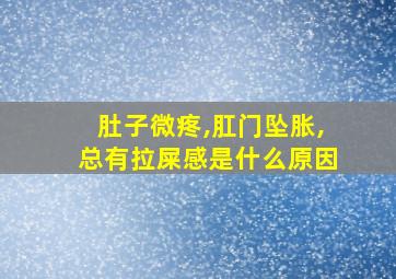 肚子微疼,肛门坠胀,总有拉屎感是什么原因