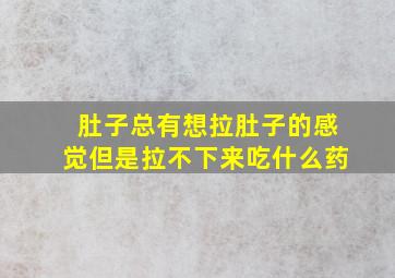 肚子总有想拉肚子的感觉但是拉不下来吃什么药