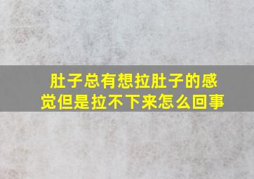 肚子总有想拉肚子的感觉但是拉不下来怎么回事