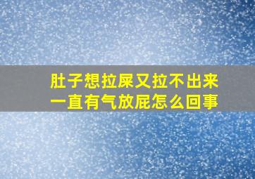 肚子想拉屎又拉不出来一直有气放屁怎么回事