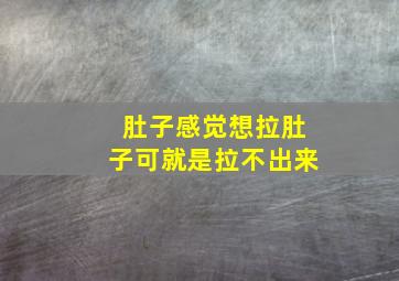 肚子感觉想拉肚子可就是拉不出来