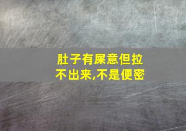 肚子有屎意但拉不出来,不是便密