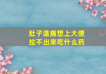 肚子温痛想上大便拉不出来吃什么药