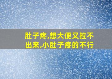 肚子疼,想大便又拉不出来,小肚子疼的不行