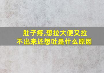 肚子疼,想拉大便又拉不出来还想吐是什么原因