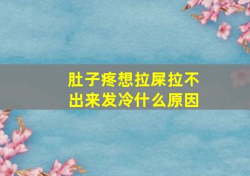 肚子疼想拉屎拉不出来发冷什么原因