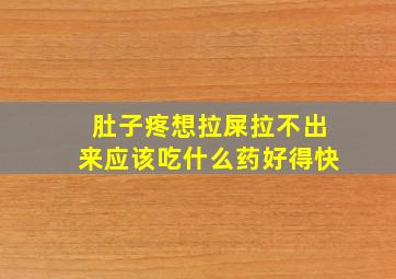 肚子疼想拉屎拉不出来应该吃什么药好得快