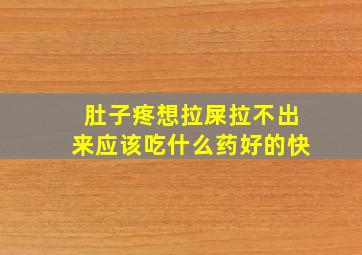 肚子疼想拉屎拉不出来应该吃什么药好的快