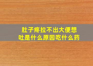 肚子疼拉不出大便想吐是什么原因吃什么药