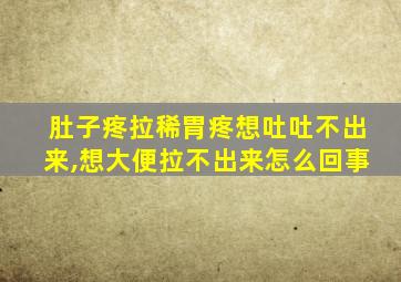 肚子疼拉稀胃疼想吐吐不出来,想大便拉不出来怎么回事