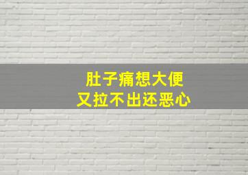 肚子痛想大便又拉不出还恶心