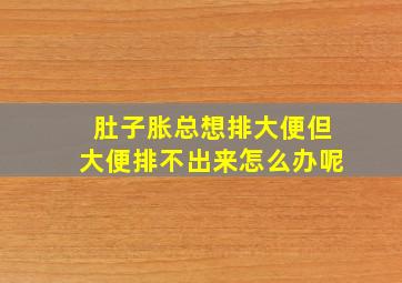 肚子胀总想排大便但大便排不出来怎么办呢