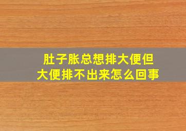 肚子胀总想排大便但大便排不出来怎么回事