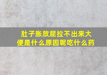 肚子胀放屁拉不出来大便是什么原因呢吃什么药