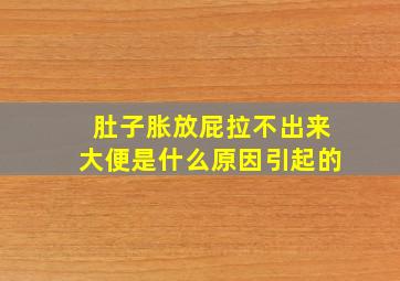 肚子胀放屁拉不出来大便是什么原因引起的