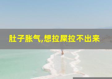 肚子胀气,想拉屎拉不出来