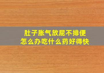 肚子胀气放屁不排便怎么办吃什么药好得快