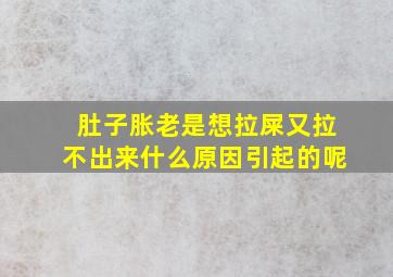 肚子胀老是想拉屎又拉不出来什么原因引起的呢