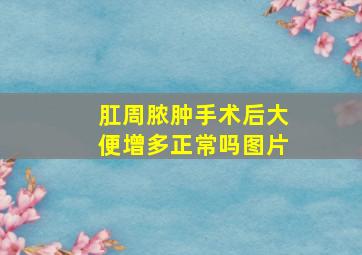 肛周脓肿手术后大便增多正常吗图片