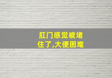 肛门感觉被堵住了,大便困难