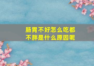 肠胃不好怎么吃都不胖是什么原因呢