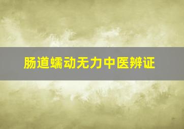 肠道蠕动无力中医辨证