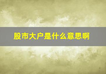 股市大户是什么意思啊