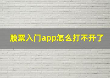 股票入门app怎么打不开了