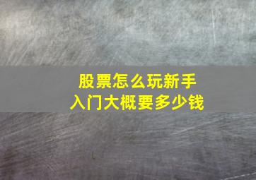 股票怎么玩新手入门大概要多少钱