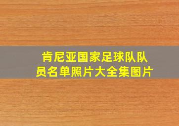 肯尼亚国家足球队队员名单照片大全集图片