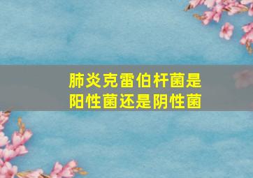 肺炎克雷伯杆菌是阳性菌还是阴性菌