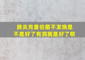 肺炎克雷伯菌不发烧是不是好了有洞就是好了呗