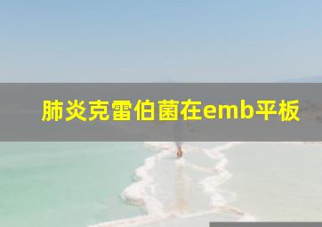 肺炎克雷伯菌在emb平板