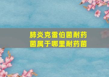 肺炎克雷伯菌耐药菌属于哪里耐药菌