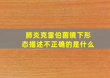 肺炎克雷伯菌镜下形态描述不正确的是什么