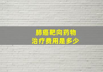 肺癌靶向药物治疗费用是多少