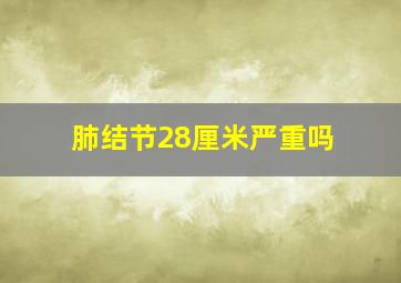 肺结节28厘米严重吗