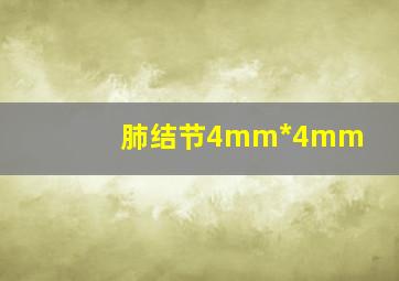 肺结节4mm*4mm