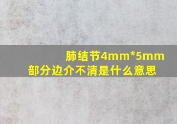 肺结节4mm*5mm部分边介不清是什么意思